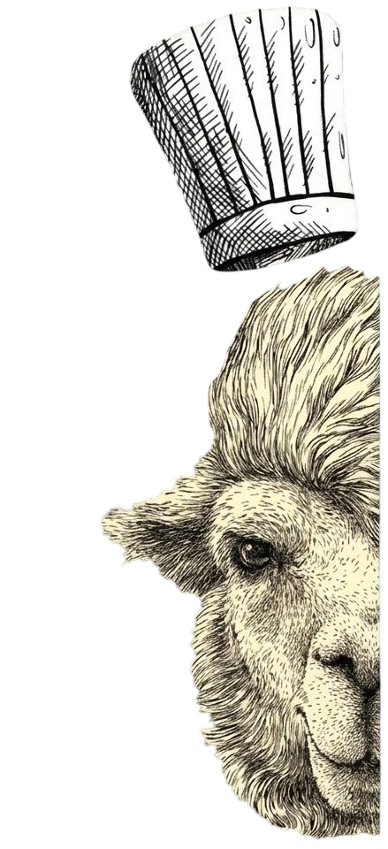 Quero Llama